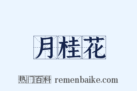 月桂花是什么意思的图片